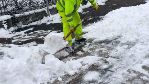 snow removal company and driveway salt