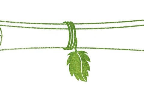 North American business schools lead in sustainability