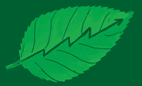 Illustration by Yarek Waszul