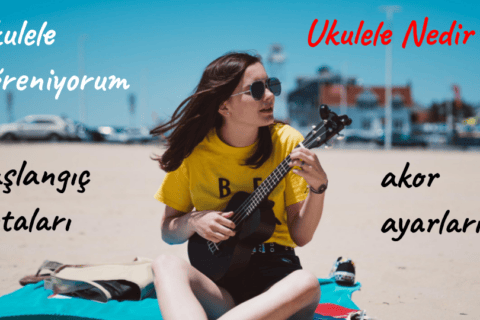 Ukulele Öğreniyorum – Bölüm 1 : Ukulele nedir ?