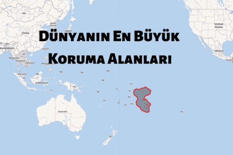 Dünyanın En Büyük 9 Koruma Alanı Dünyanın En Büyük 9 Koruma Alanı