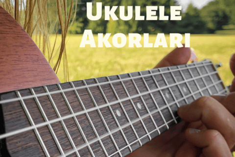 Ukulele Akorları