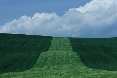 Franco Fontana - Landscape