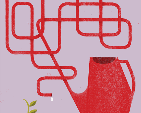 Illustration by Matthew Hollister