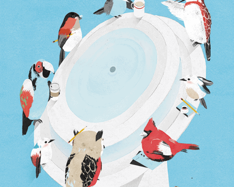 Birds illustration by Gracia Lam
