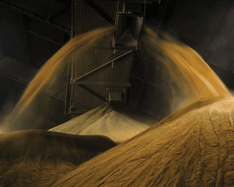 Distillers grain, a byproduct of corn ethanol production, being conveyed into a storage facility. Photo by Tyler Hamilton