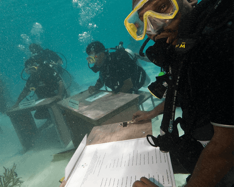 underwater desks
