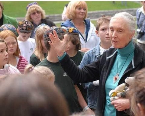 Jane Goodall meets with youth