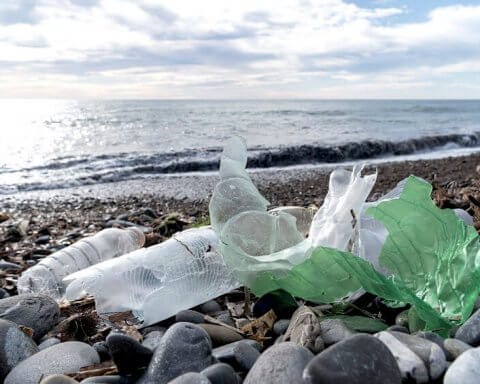 Compostable Plastic by Adria Vasil | An image of plastic waste on a beach