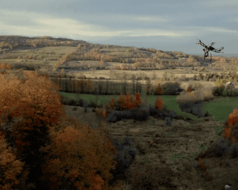 drone tree planting