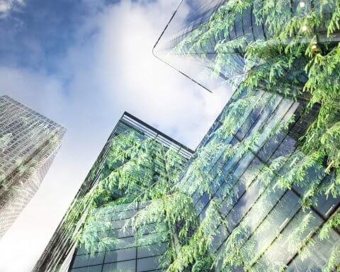 Lush green forest and modern sky