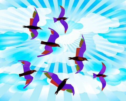 Raven Indigenous Capital