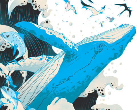 Most sustainable companies