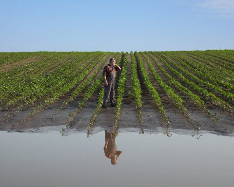 food supply chains emissions
