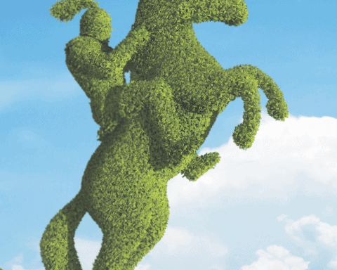 Best 50 Corporate Citizens - Topiary Horse