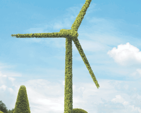 Future 50: The Fastest Growing Sustainable Companies of 2022 | An illustration of a plant-covered wind farm