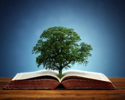 Books climate change