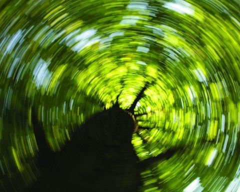 climate art eco-artists Corporate Knights