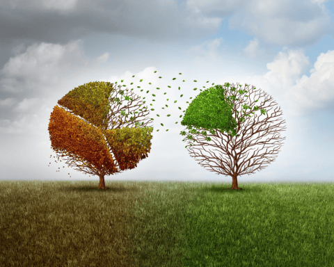 Sustainable Economy Intelligence SEI dashboard Corporate Knights