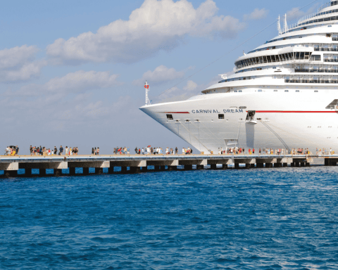 sustainable reef tourism coral Cozumel Mexico Corporate Knights