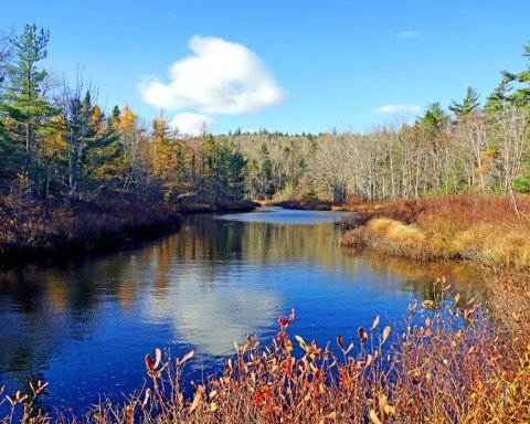 freshwater, oceans, marine, blue economy lakes river Corporate Knights