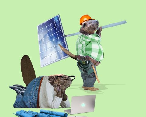 Future 50 fastest growing green companies