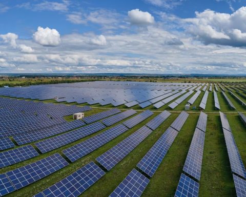 solar, china, perovskite