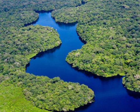 deforestation, amazon, oil and gas