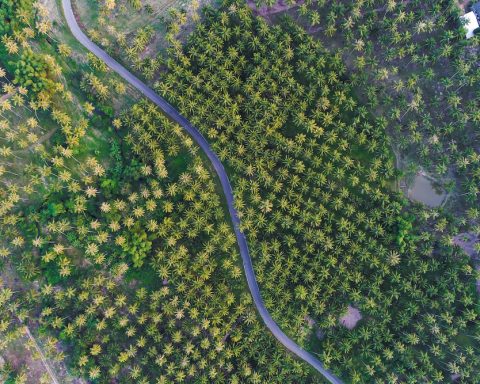 supply chain biodiversity targets