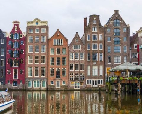 plant based treaty, plant based food, sustainable food