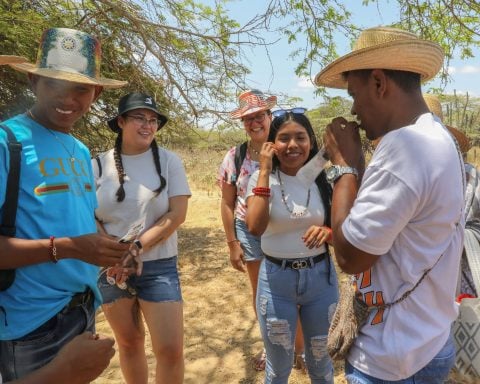 Indigenous clean energy renewables Corporate Knights