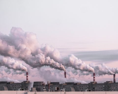 carbon offsets carbon credits SBTi Corporate Knights