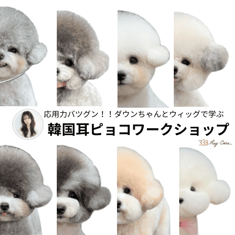 ＜ワークショップ＞ウィッグで実践！ダウンちゃんのふんわり耳ピョコカット