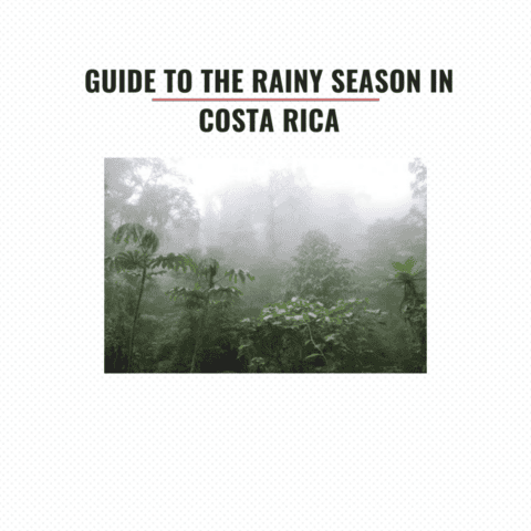 When is the Best Time to Visit Costa Rica