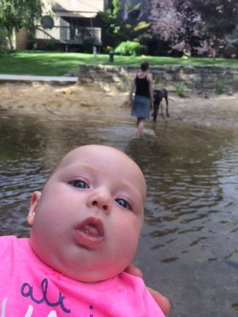 Another time we went to the river... there is a shallow sot you can cross to an island... Denver hates water, he literally got to the deepest part and turned back, one more step and he'd have made it across!