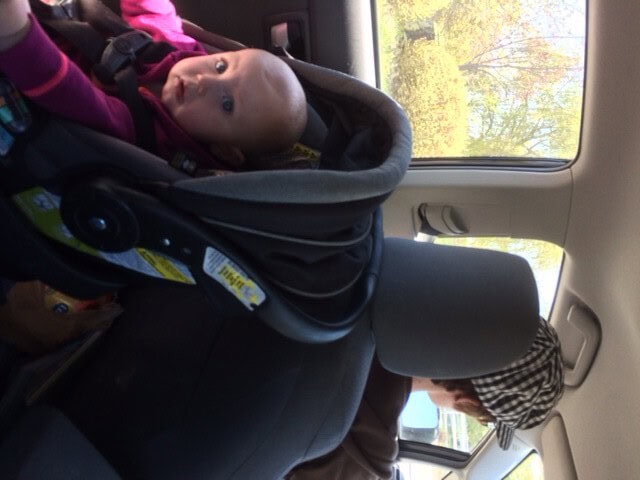 Most of the trip looked like this...