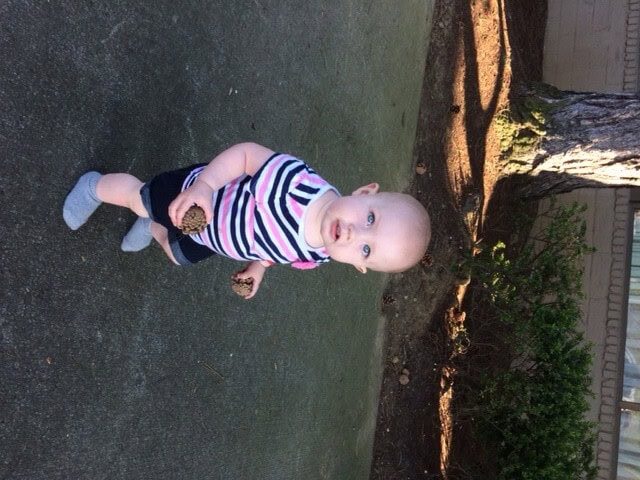 She did find many a pine cones to entertain herself with!