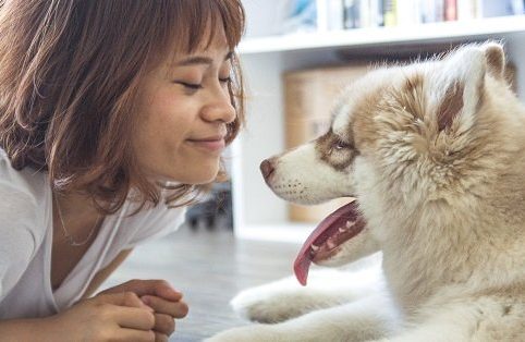 Modelo de questionário de pesquisa: pesquisa sobre animais de estimação