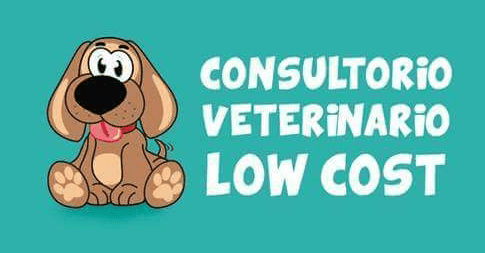 cv-lowcost