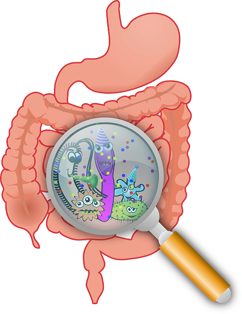 A cartoon depicting funny-looking gut microbiota (hopefully the good guys probiotics)