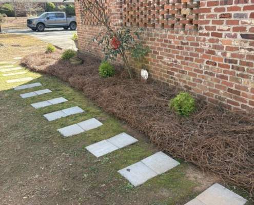 Spartanburg lawn care company