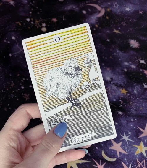 the fools journey the fool tarot card the wild unknown