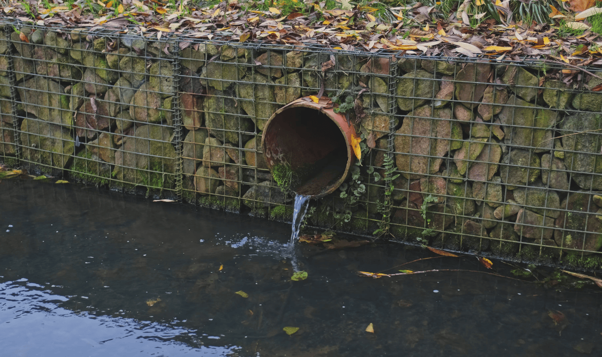 Client Alert – USEPA to Reissue MSGP for Industrial Stormwater Discharges