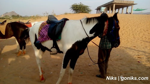 Thar desert of Rajasthan