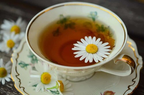 chamomile for anxiety