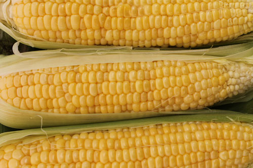 Corn