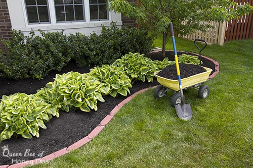 freshly mulched flower bed