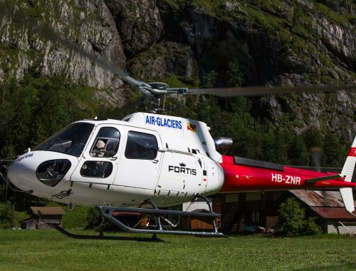 THE BETTER FUTURE FOR ER