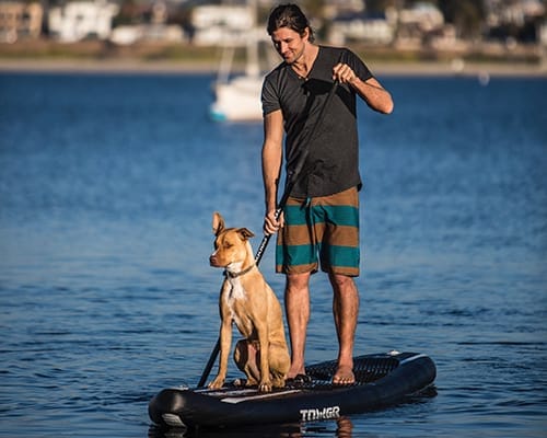 Inflatable paddle boards are durable enough for dogs.