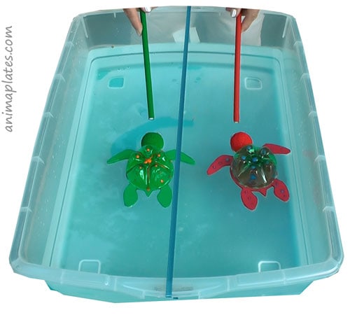 Turtle race with magnets